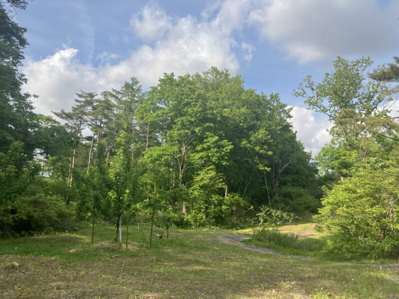 「世界遺産の隠れ宿 果実の森」の敷地内の庭（「果実の森庭園」）