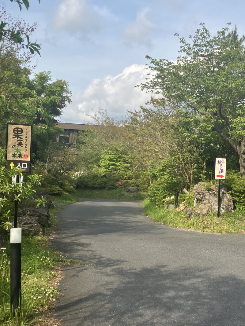 「世界遺産の隠れ宿 果実の森」と「山桜 桃の湯」の分岐路