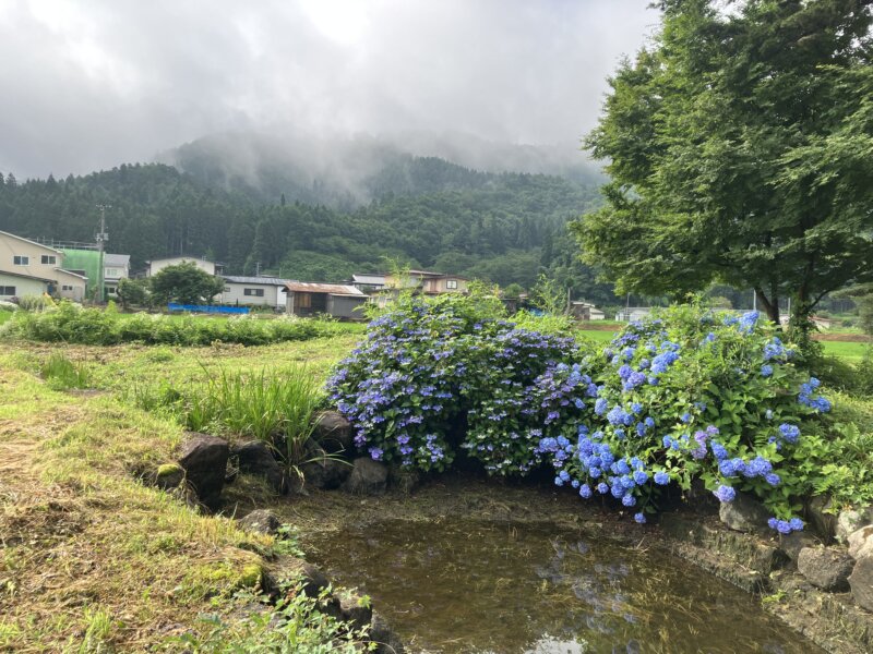 「NIPPONIA 白鷹 源内邸」の敷地内のため池