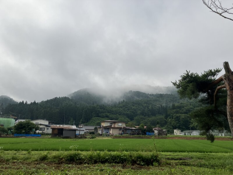 「NIPPONIA 白鷹 源内邸」の庭から見た外の風景（朝）