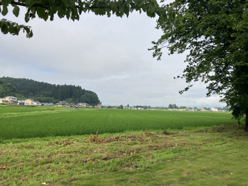 「NIPPONIA 白鷹 源内邸」の庭から見た外の風景（朝）