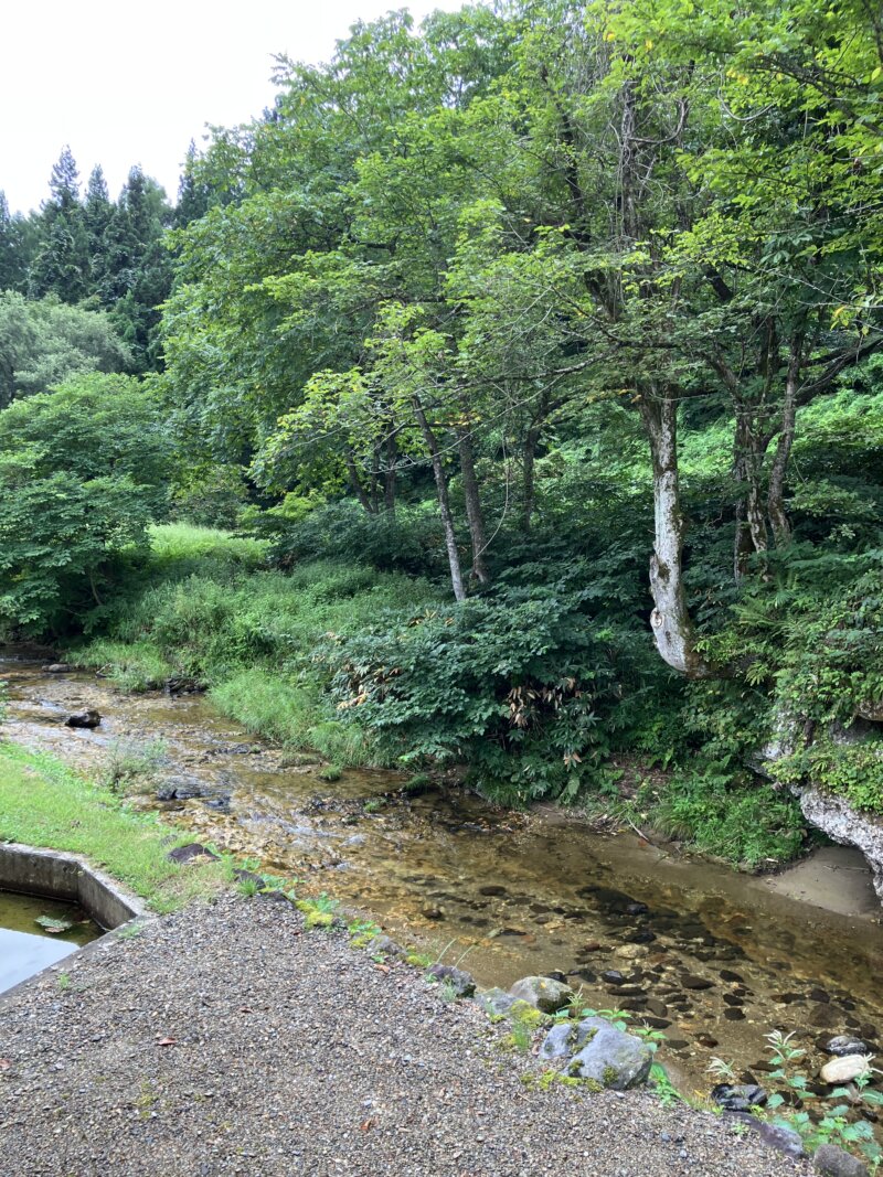 「山人-yamado-」の「 黒文字」のテラスからの景観