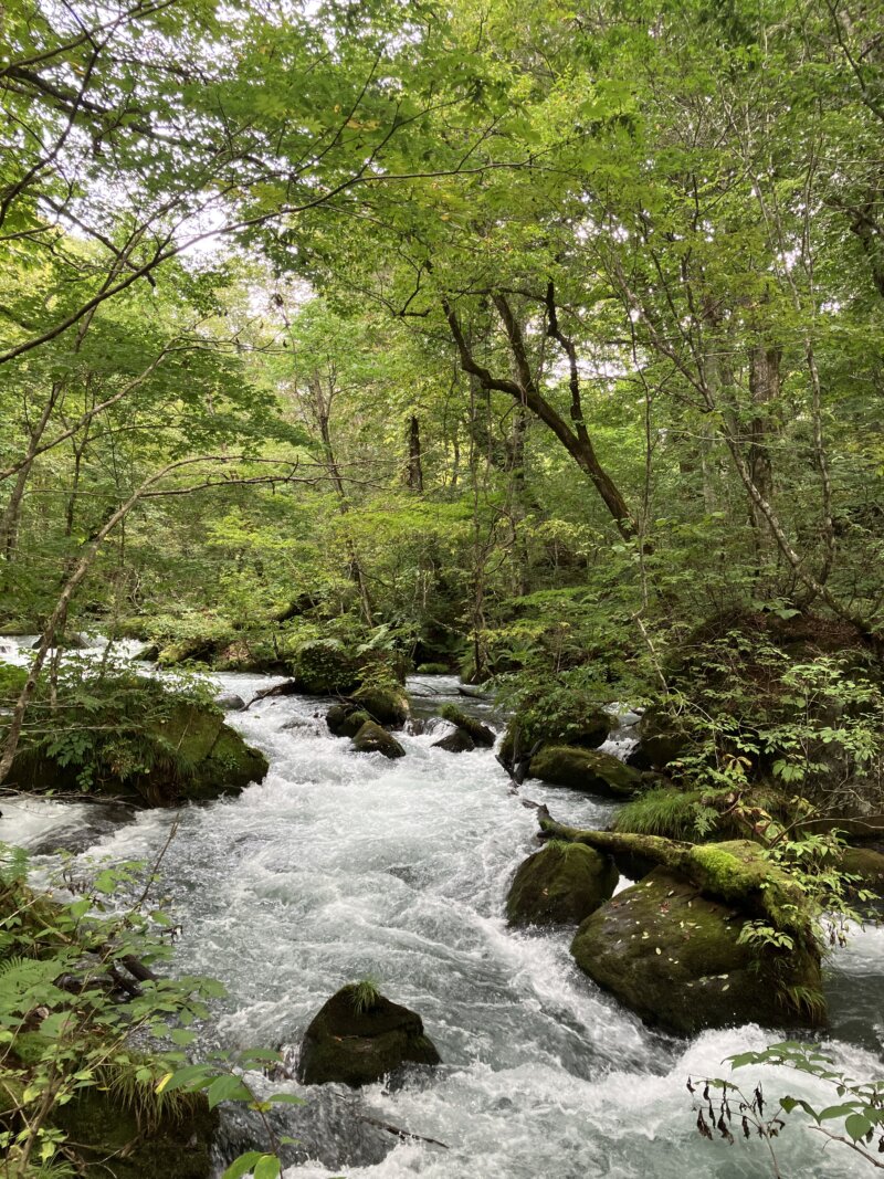 「奥入瀬渓流」